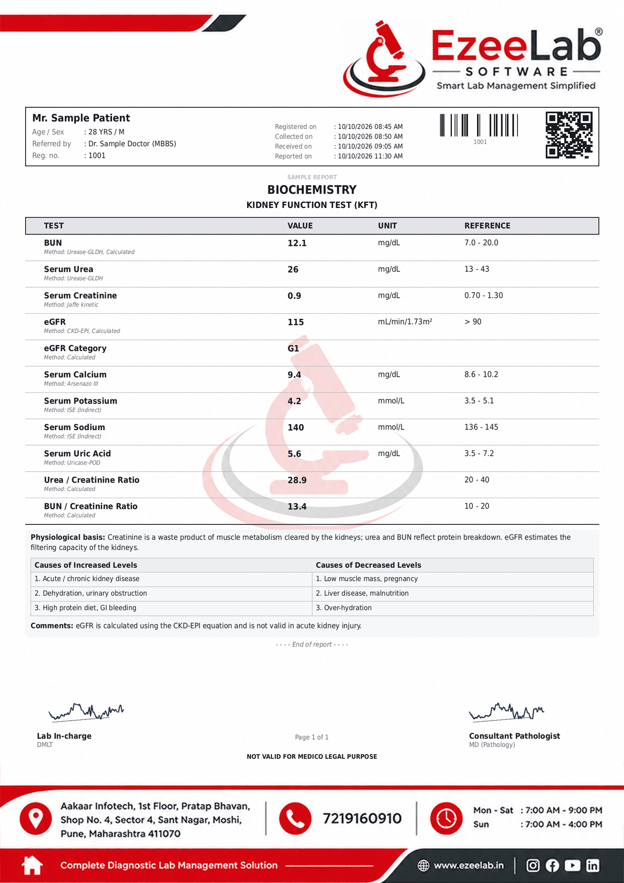 Kidney Function Test (KFT) Report Format