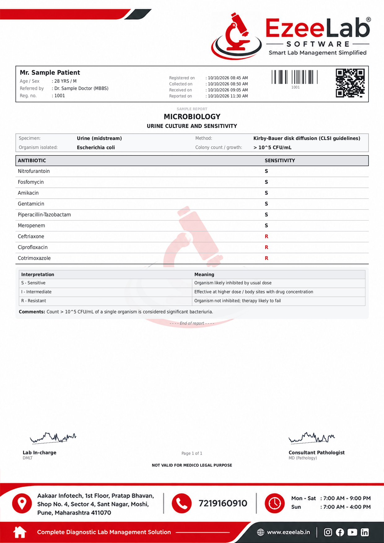 Urine Culture and Sensitivity Report Format