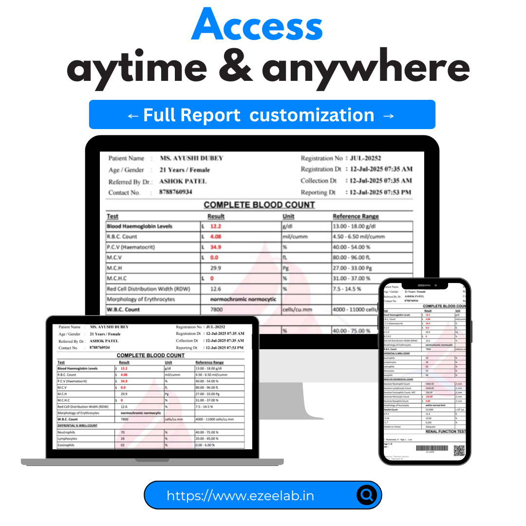 Ezeelab report Responsive